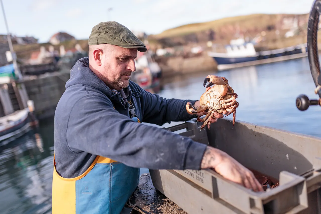 St Abbs Harbour