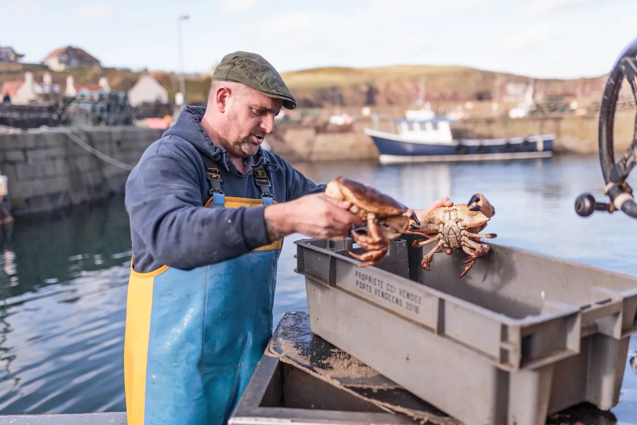 St Abbs Harbour