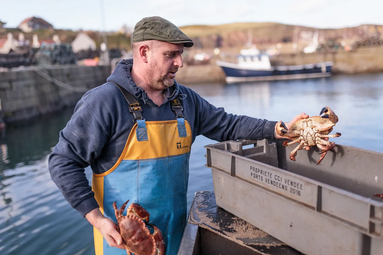 St Abbs Harbour