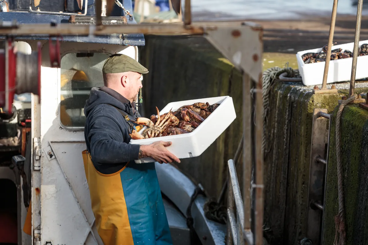 St Abbs Harbour