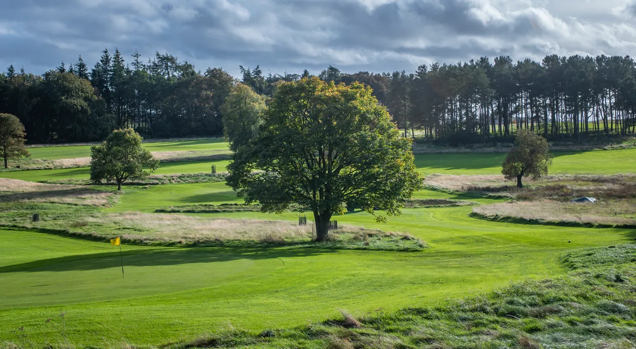 Kingarrock Hickory Golf