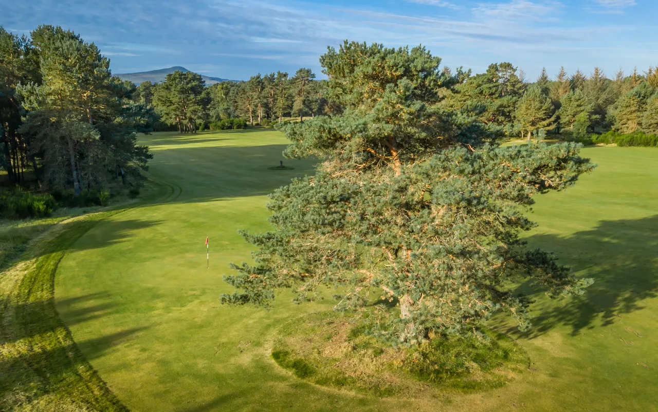 Ladybank Golf Club