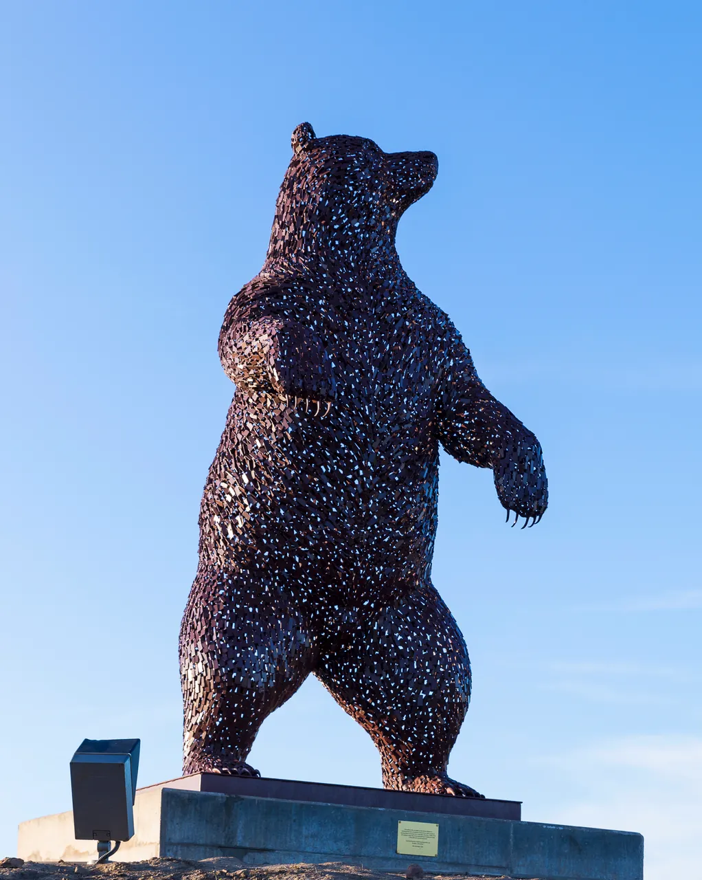 The DunBear