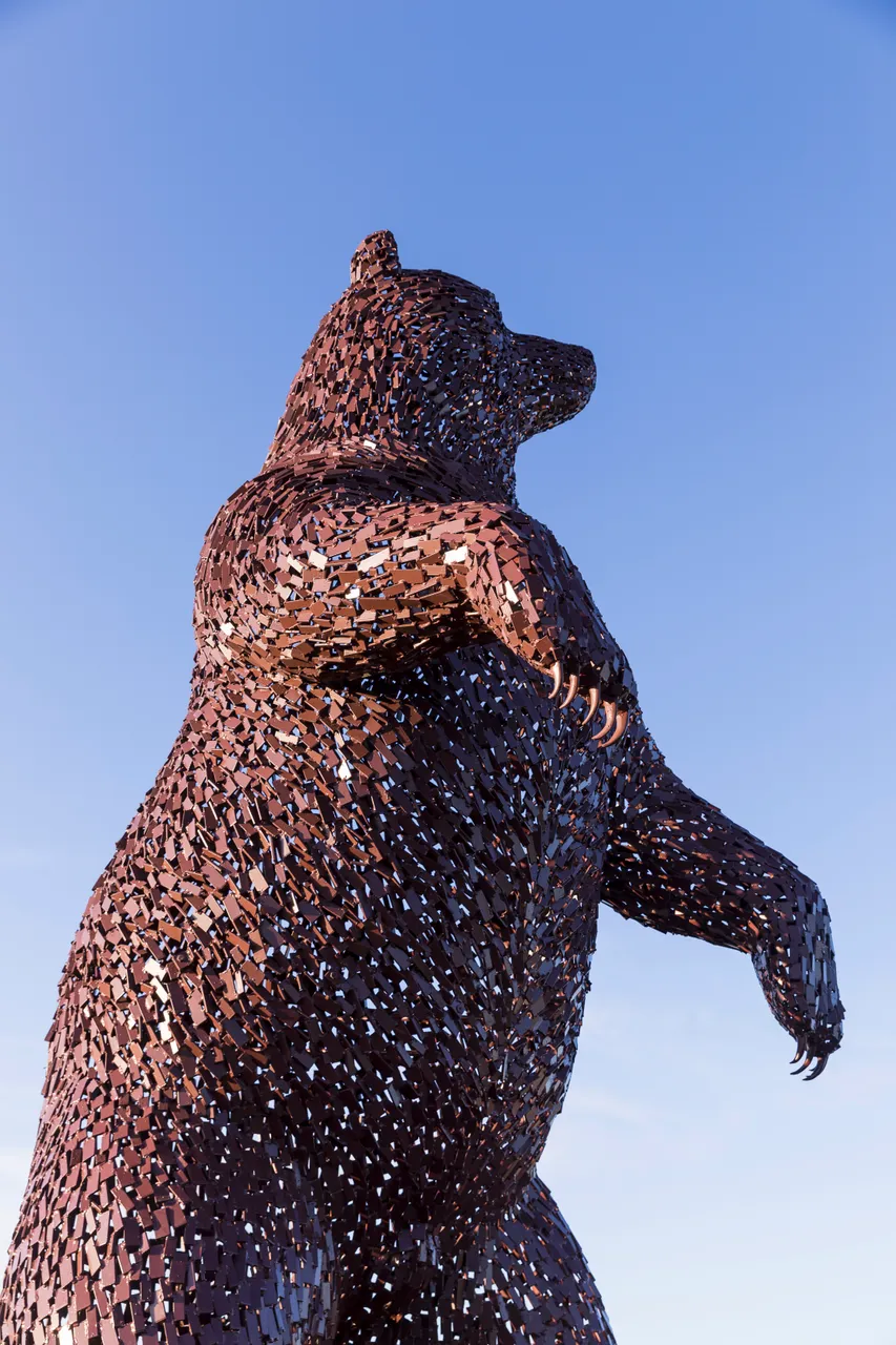 The DunBear