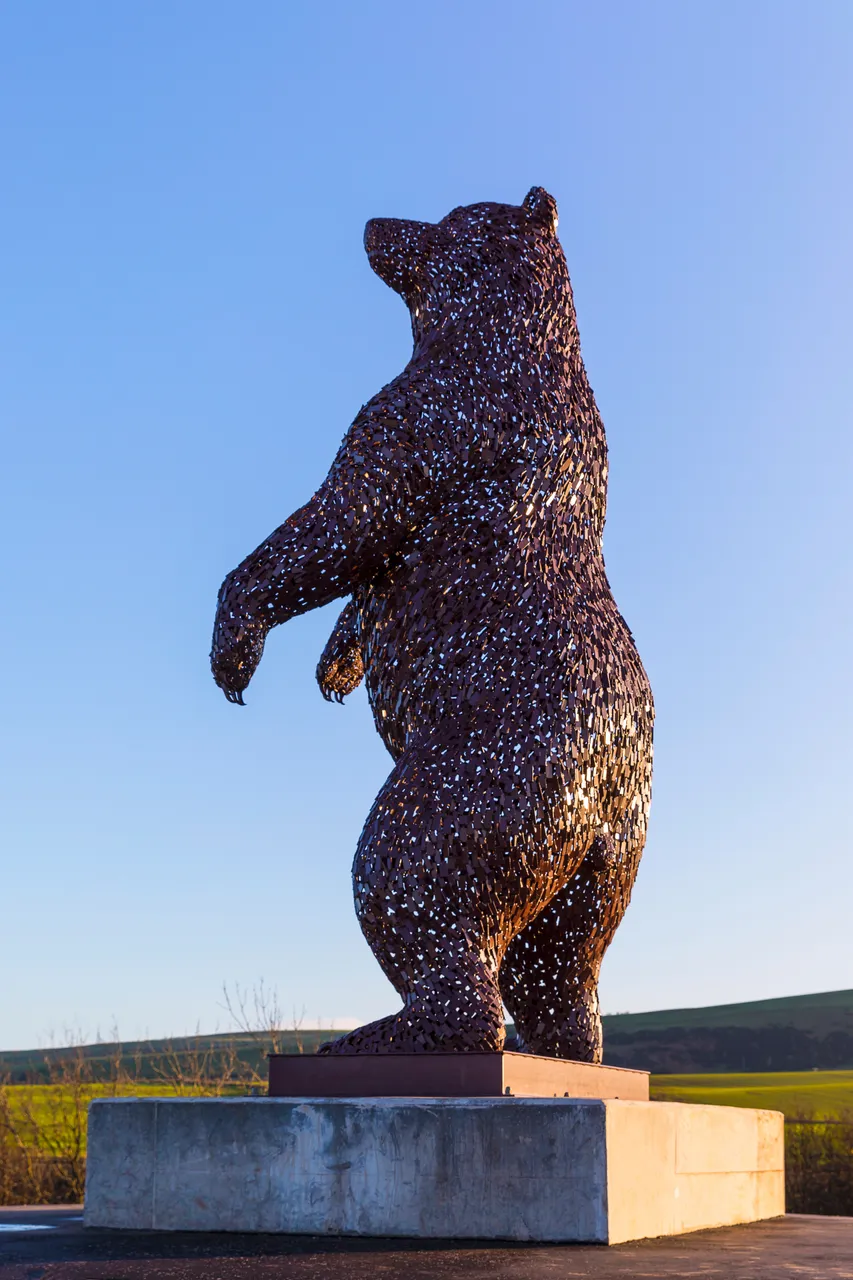 The DunBear