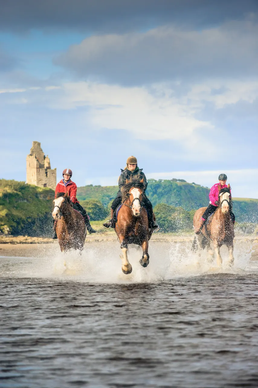 Blackstone Clydesdales, Ayr Beach