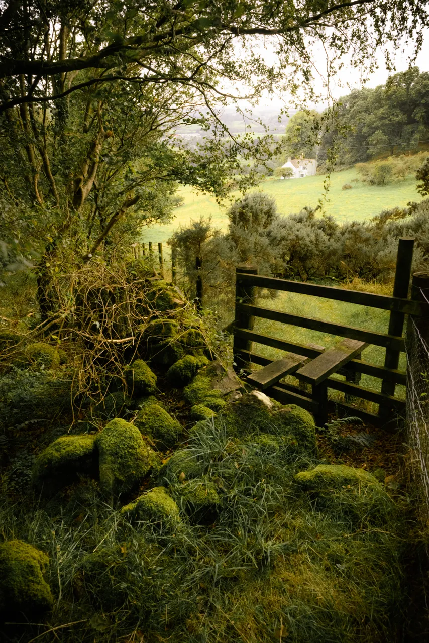 Palnackie