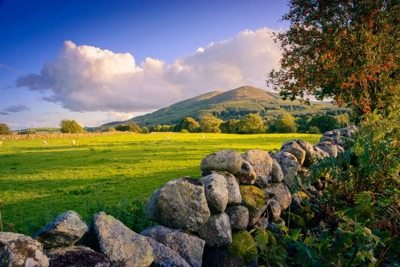 Criffel