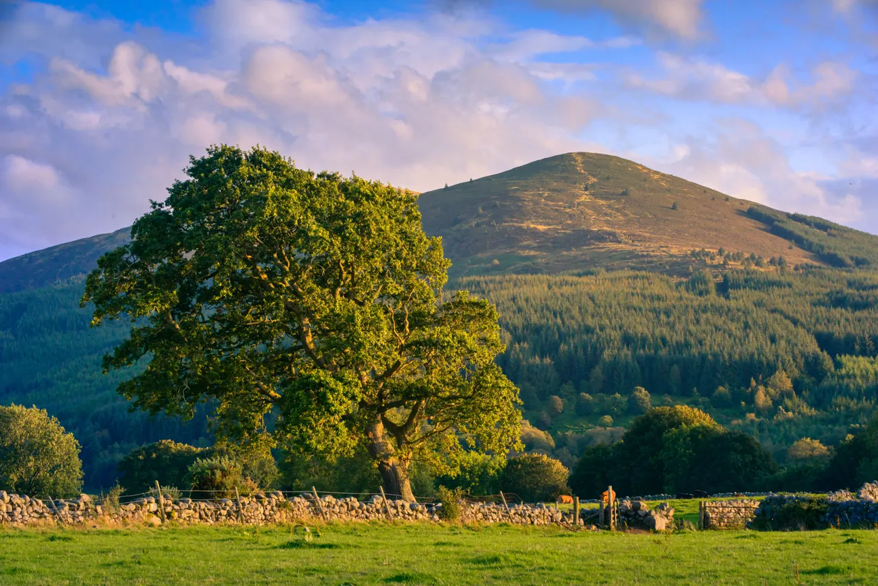 Criffel