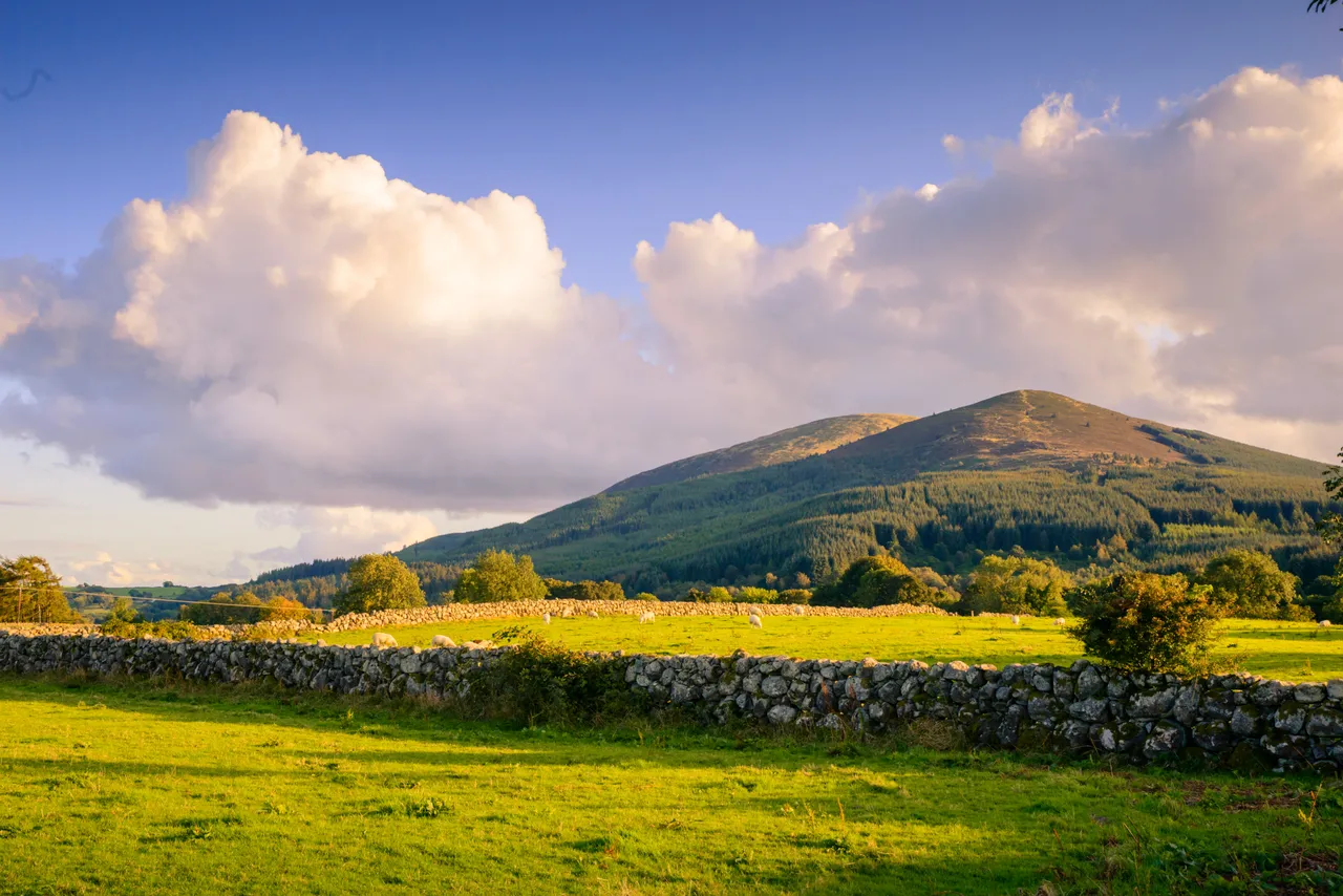 Criffel