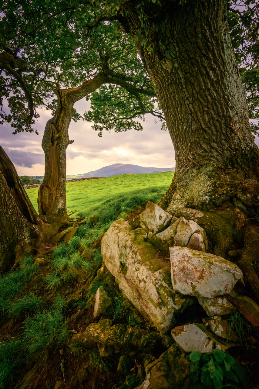 Criffel