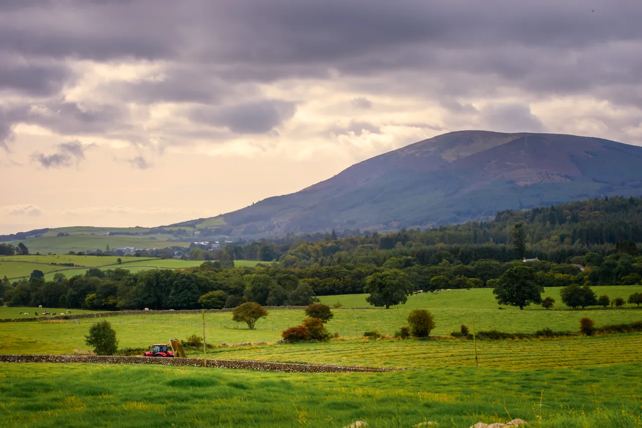 Criffel