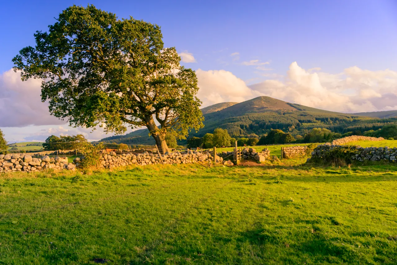 Criffel