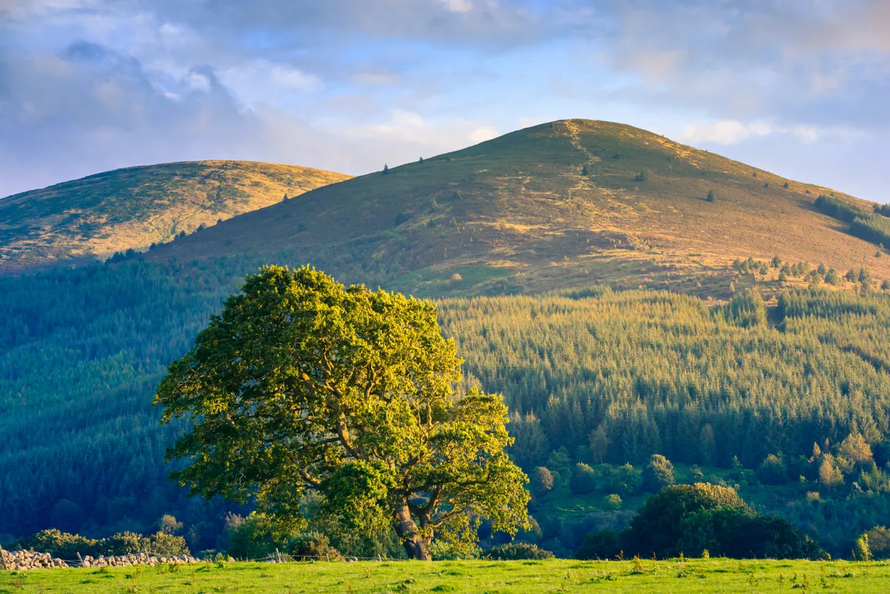 Criffel