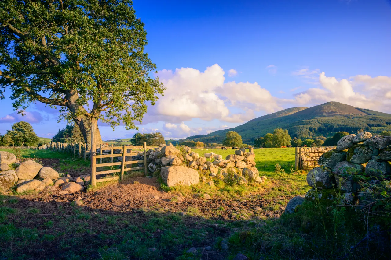 Criffel