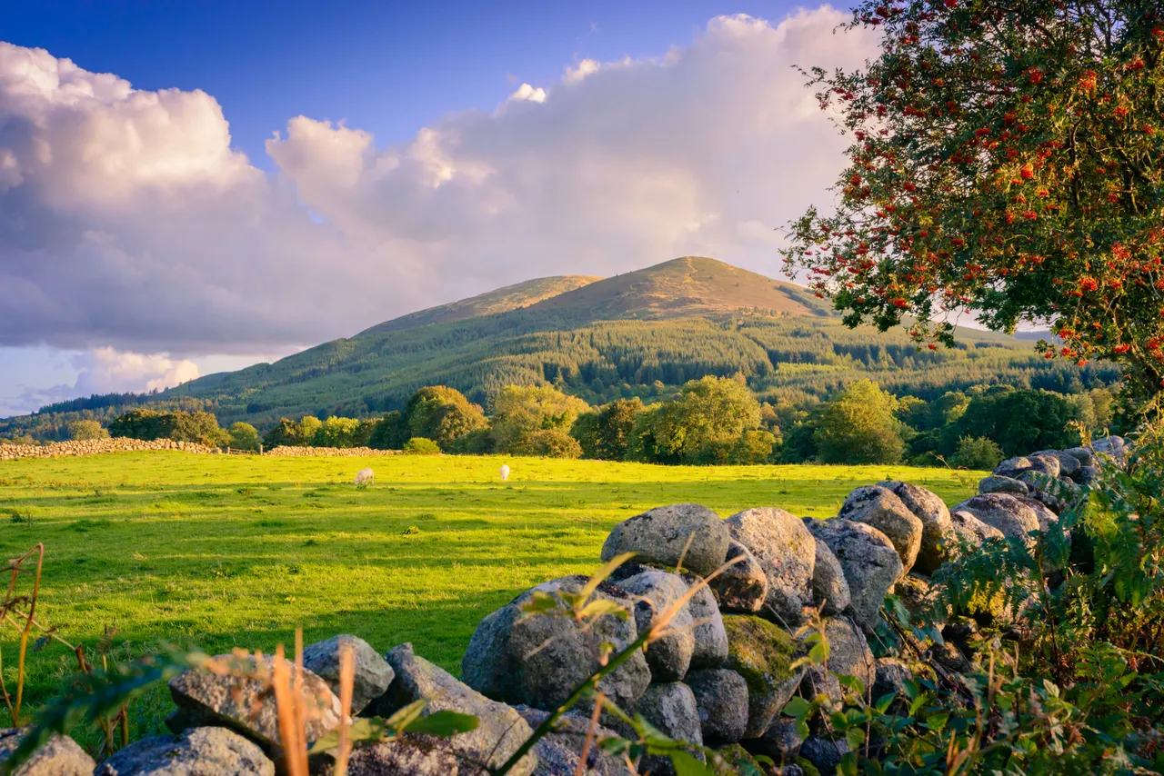 Criffel