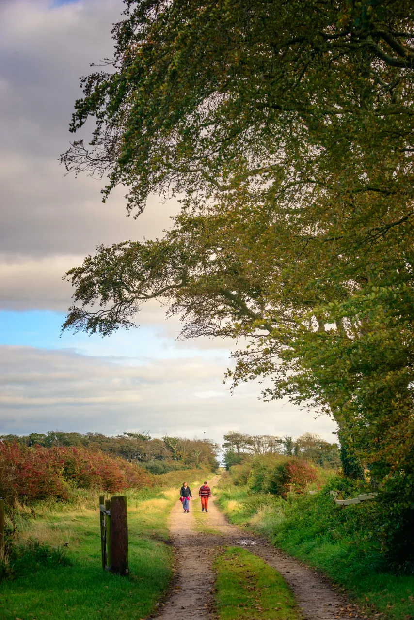RSPB Mersehead Nature Reserve