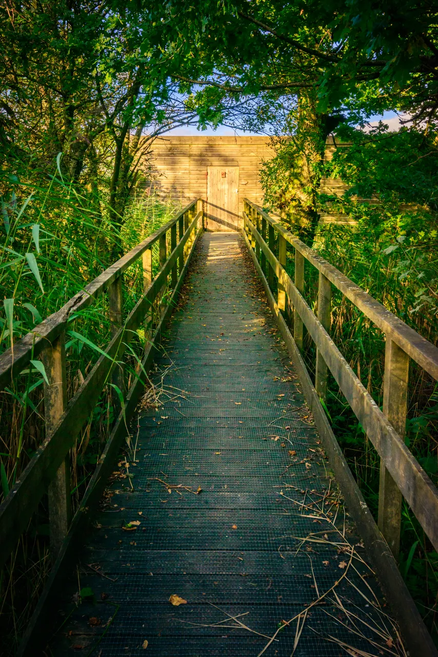 RSPB Mersehead Nature Reserve
