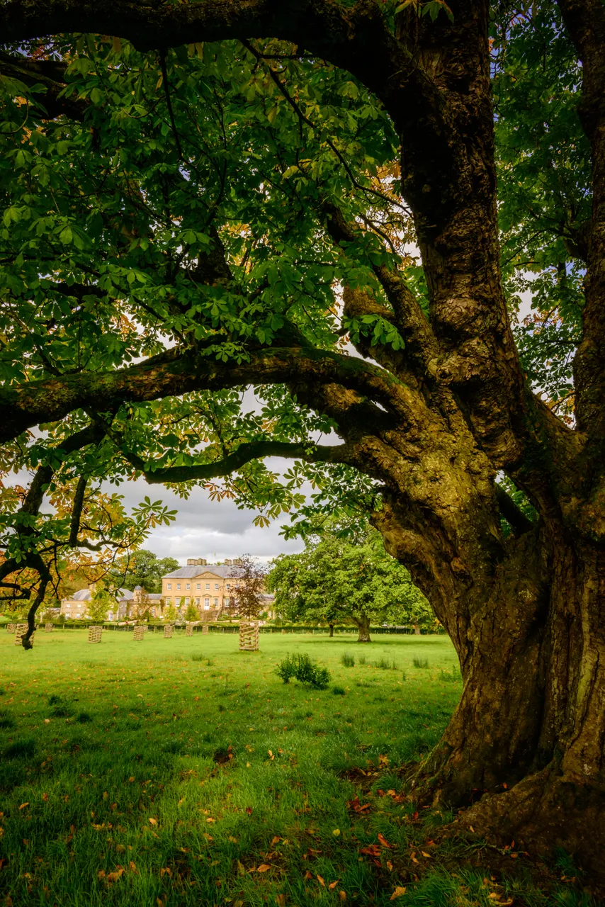 Dumfries House