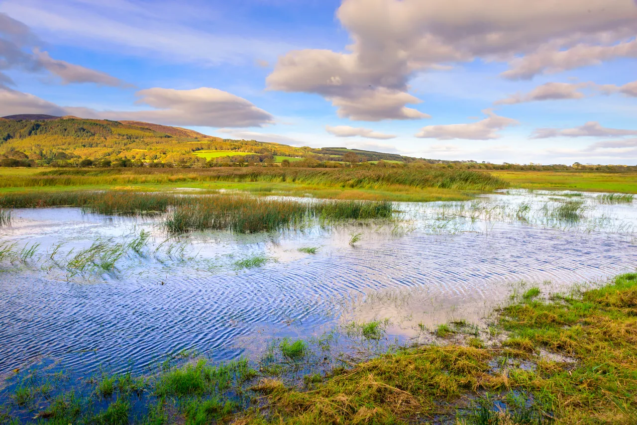 RSPB Mersehead Nature Reserve