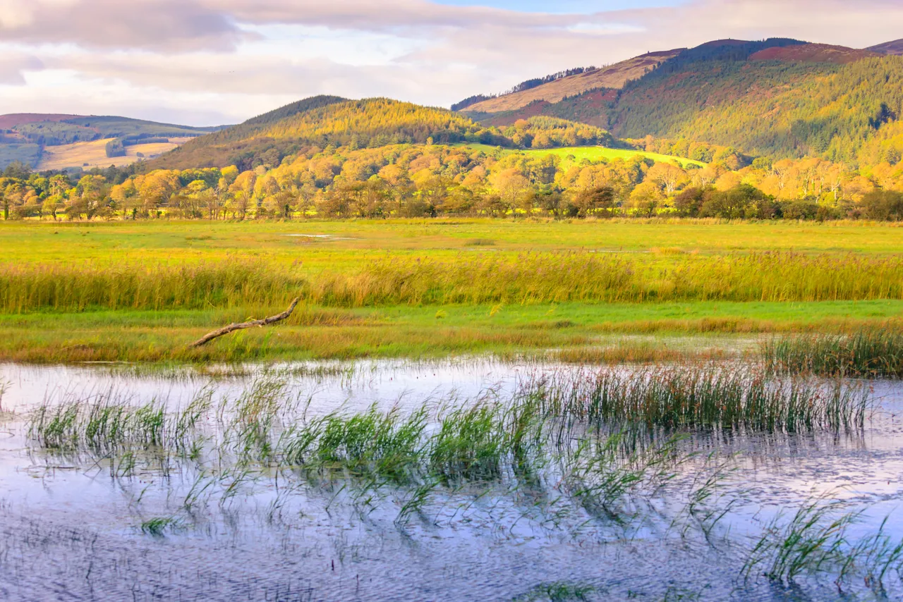 RSPB Mersehead Nature Reserve
