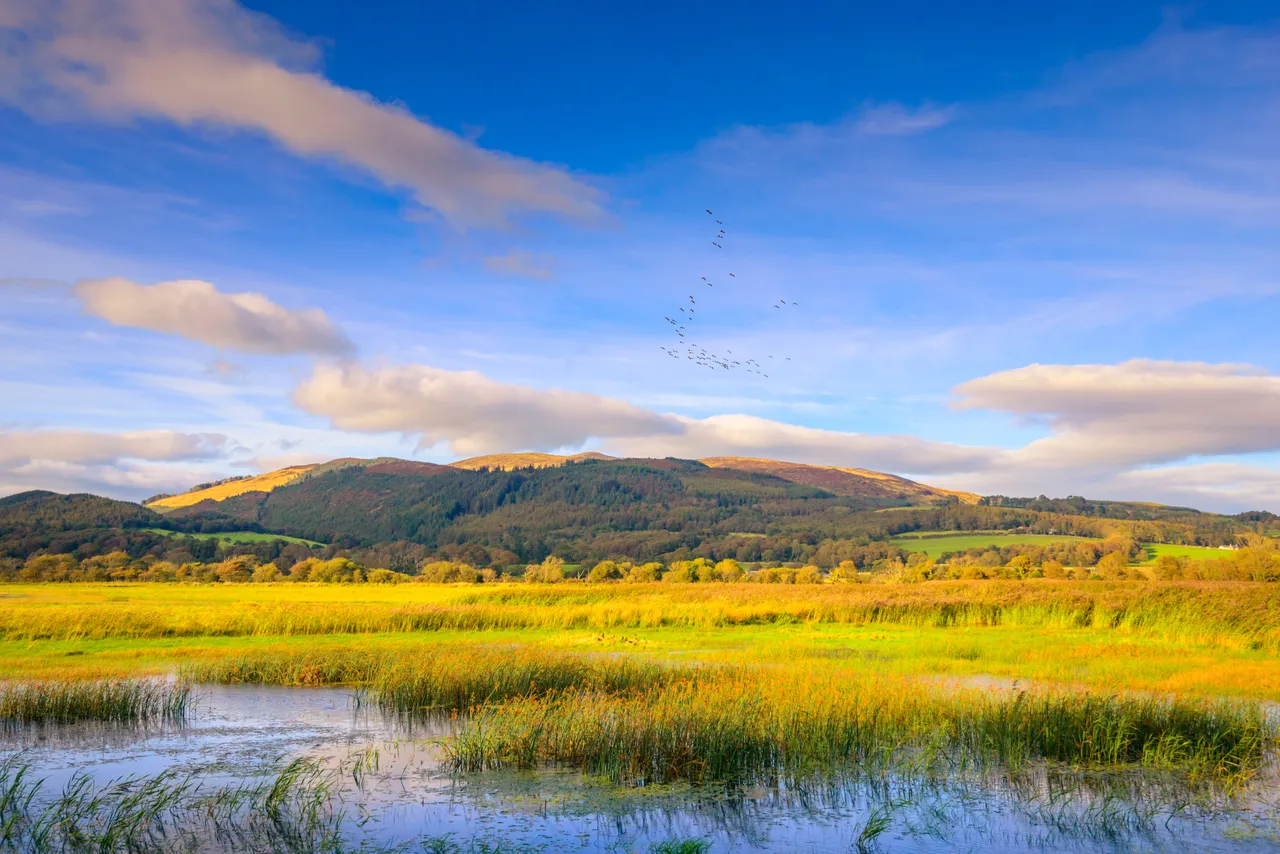 RSPB Mersehead Nature Reserve