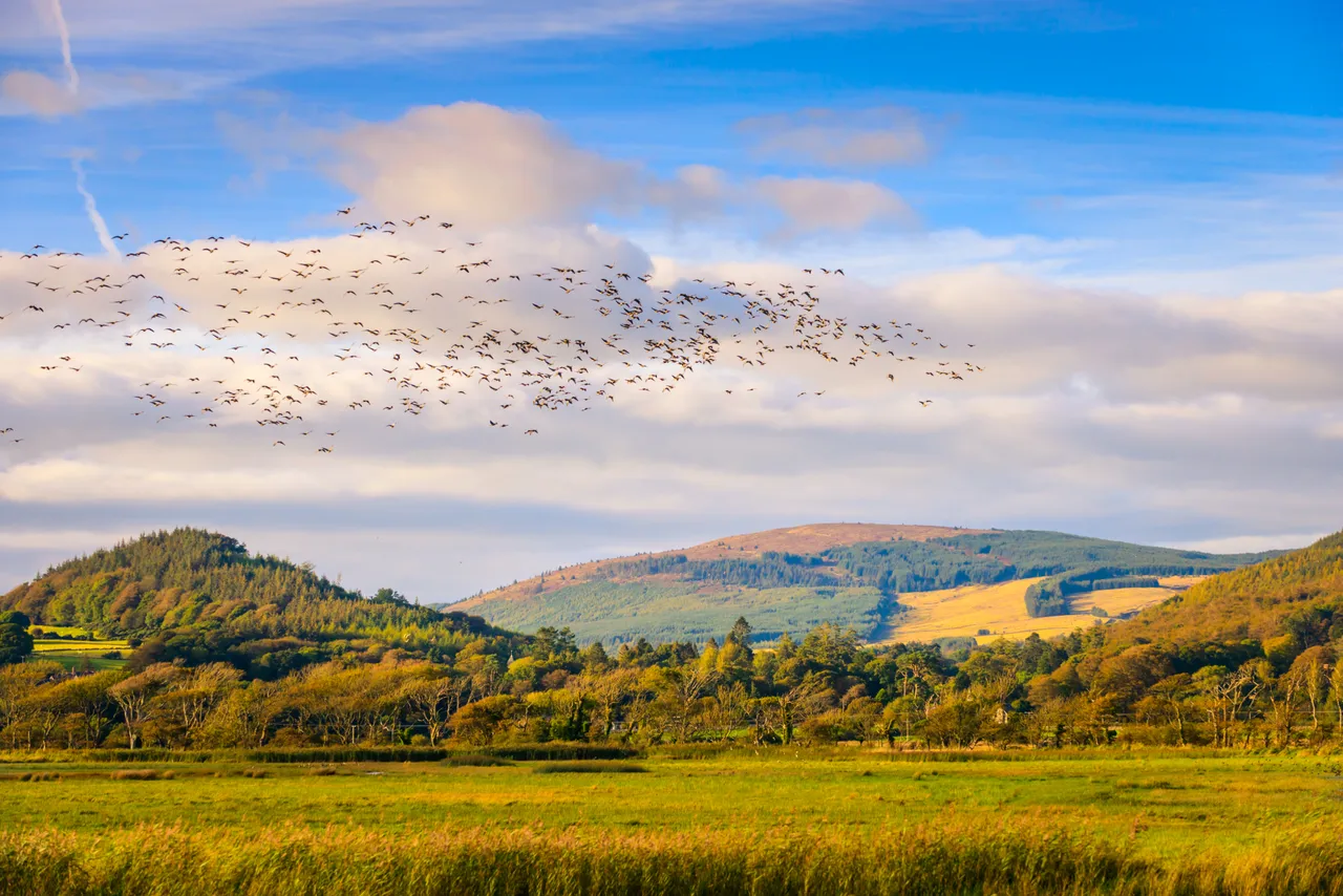 RSPB Mersehead Nature Reserve