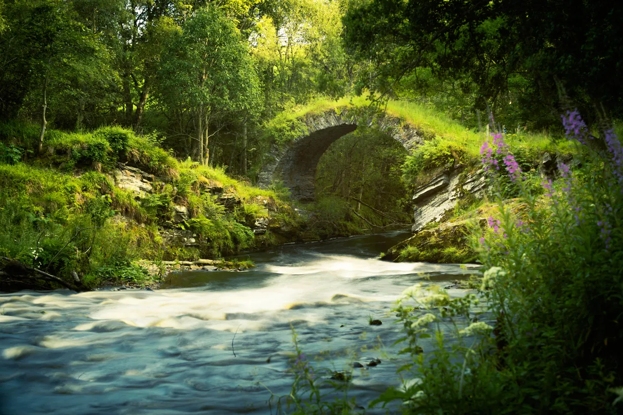 Old Bridge of Livet