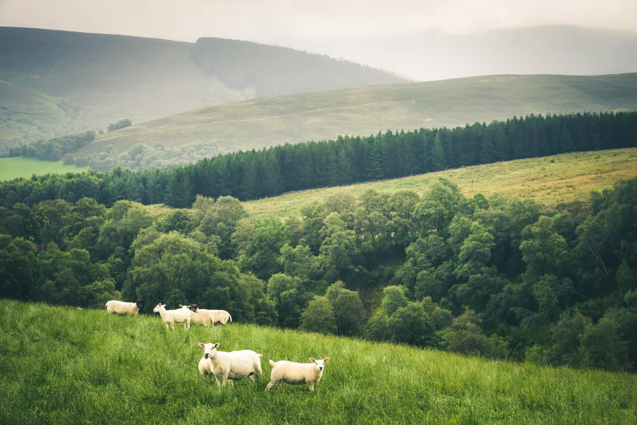 Lecht Countryside