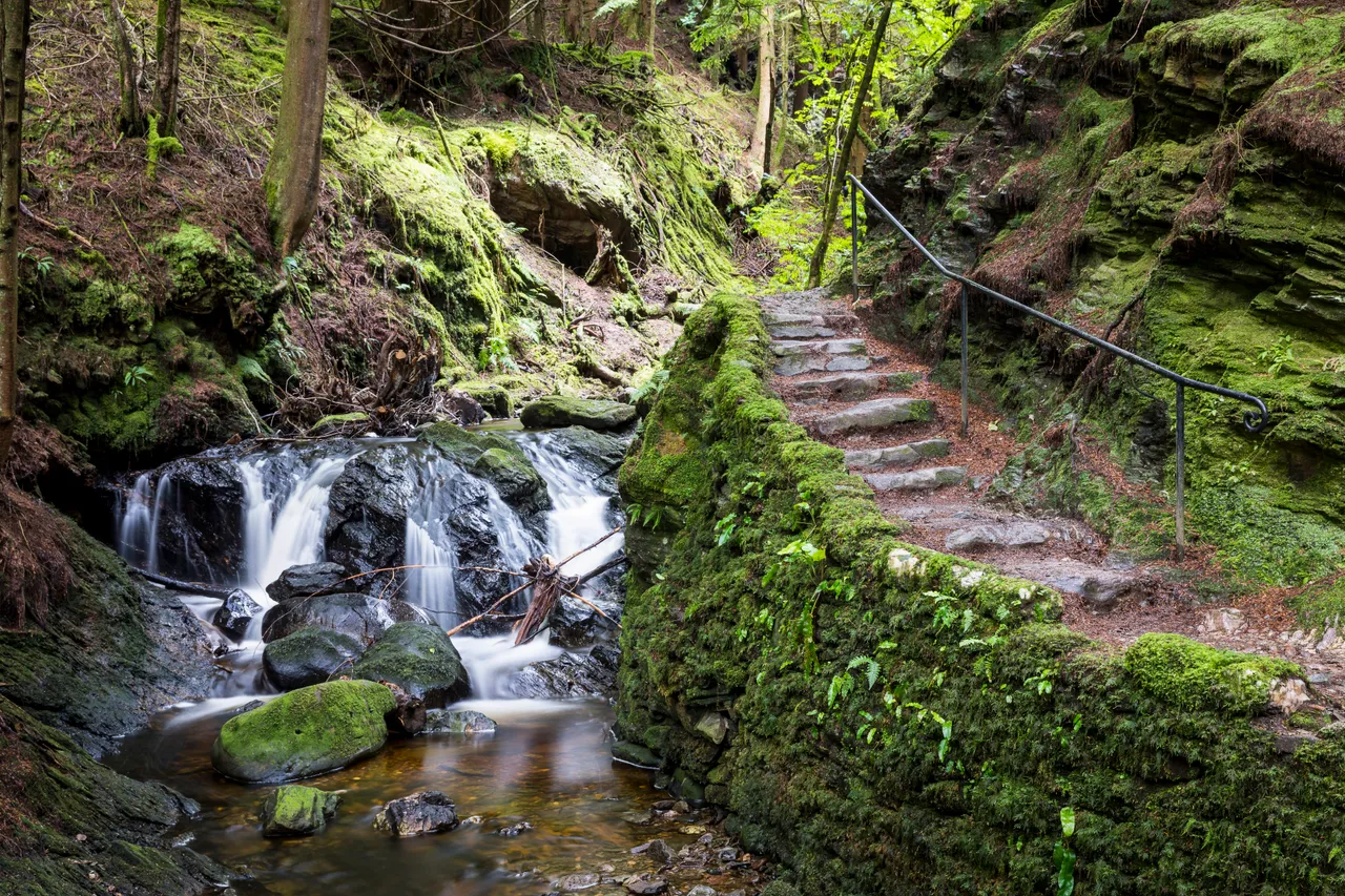 Puck's Glen