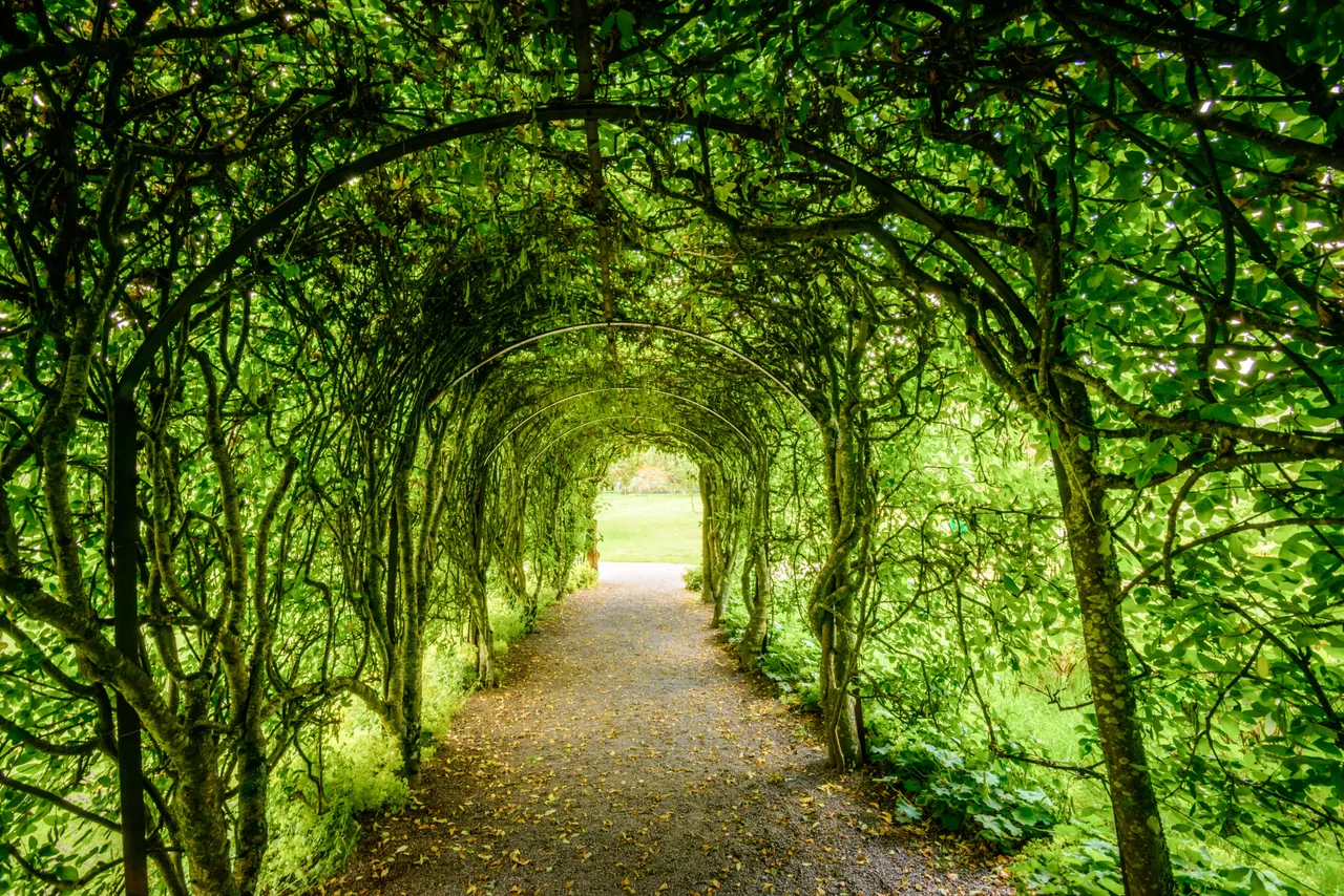 Ballindalloch Castle and Gardens