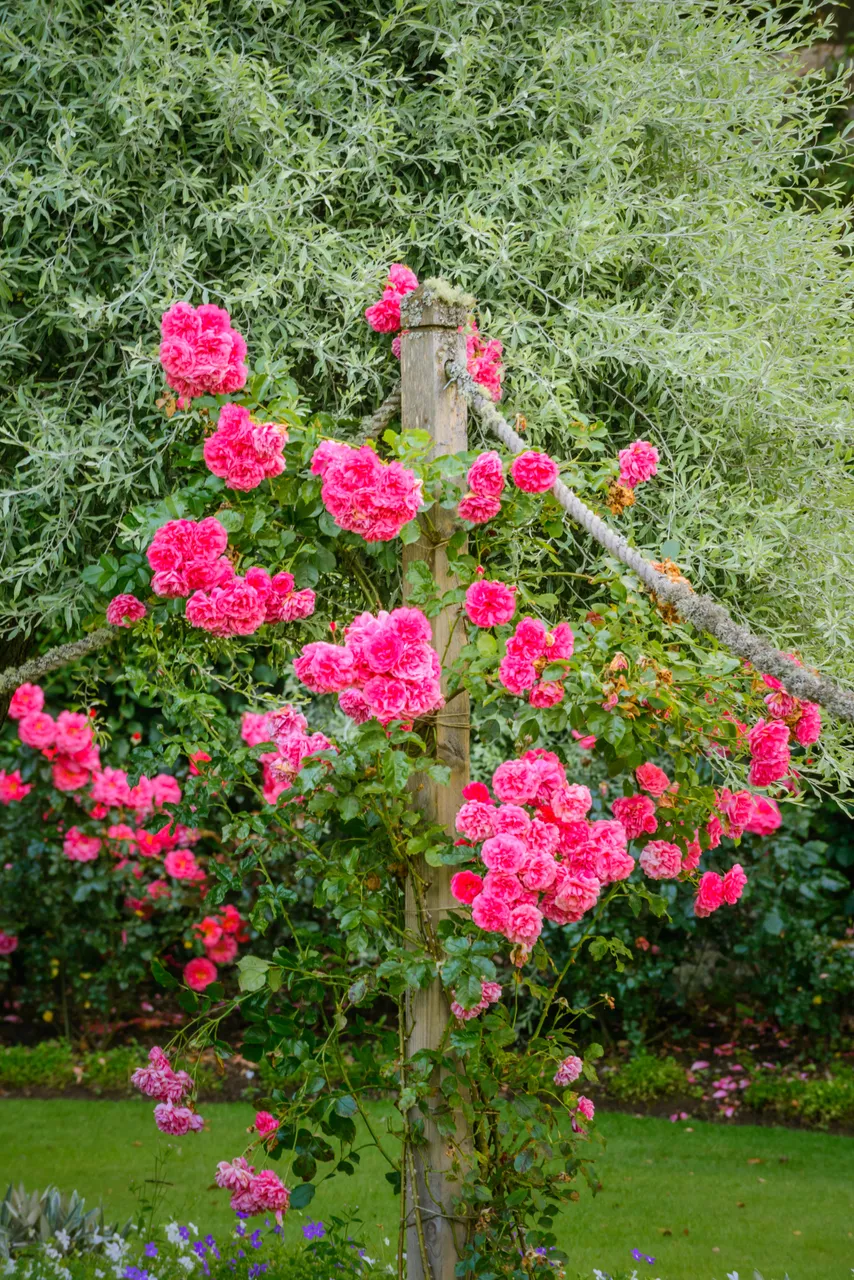 Ballindalloch Castle and Gardens