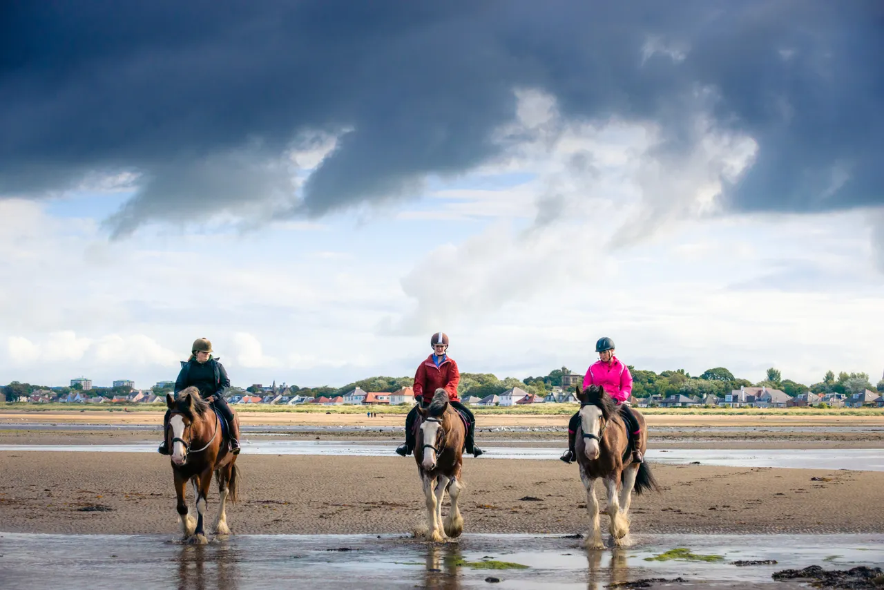 Blackstone Clydesdales, Ayr Beach