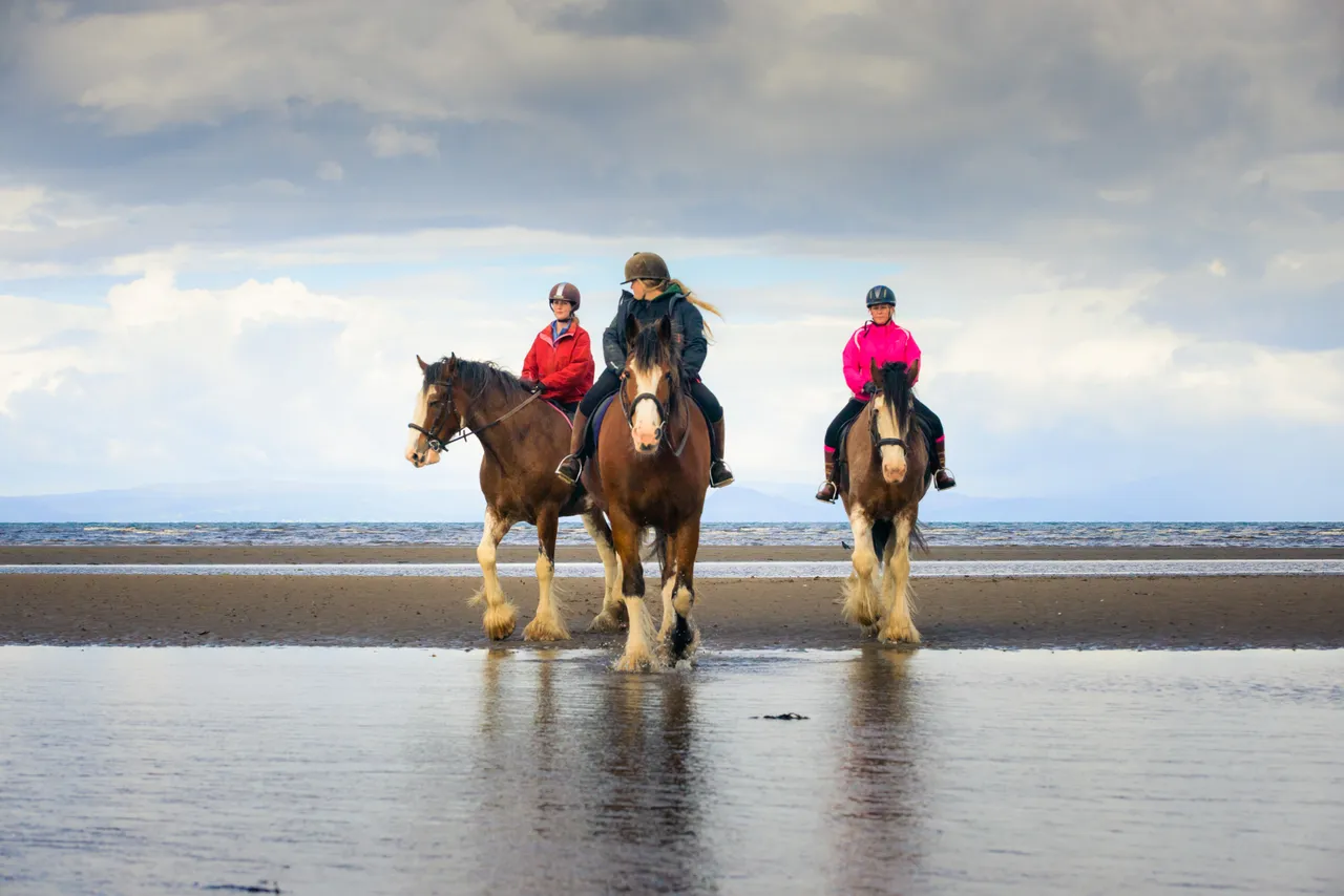 Blackstone Clydesdales, Ayr Beach