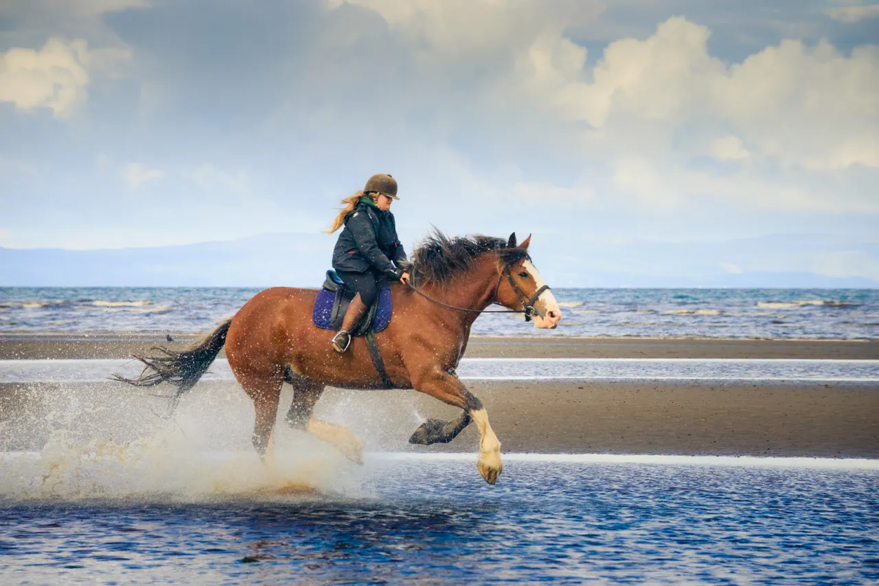 Blackstone Clydesdales, Ayr Beach