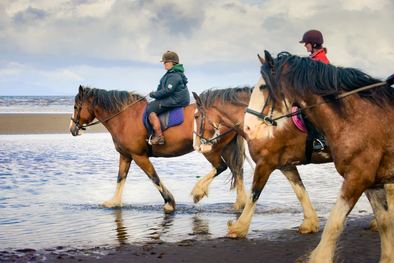Blackstone Clydesdales, Ayr Beach