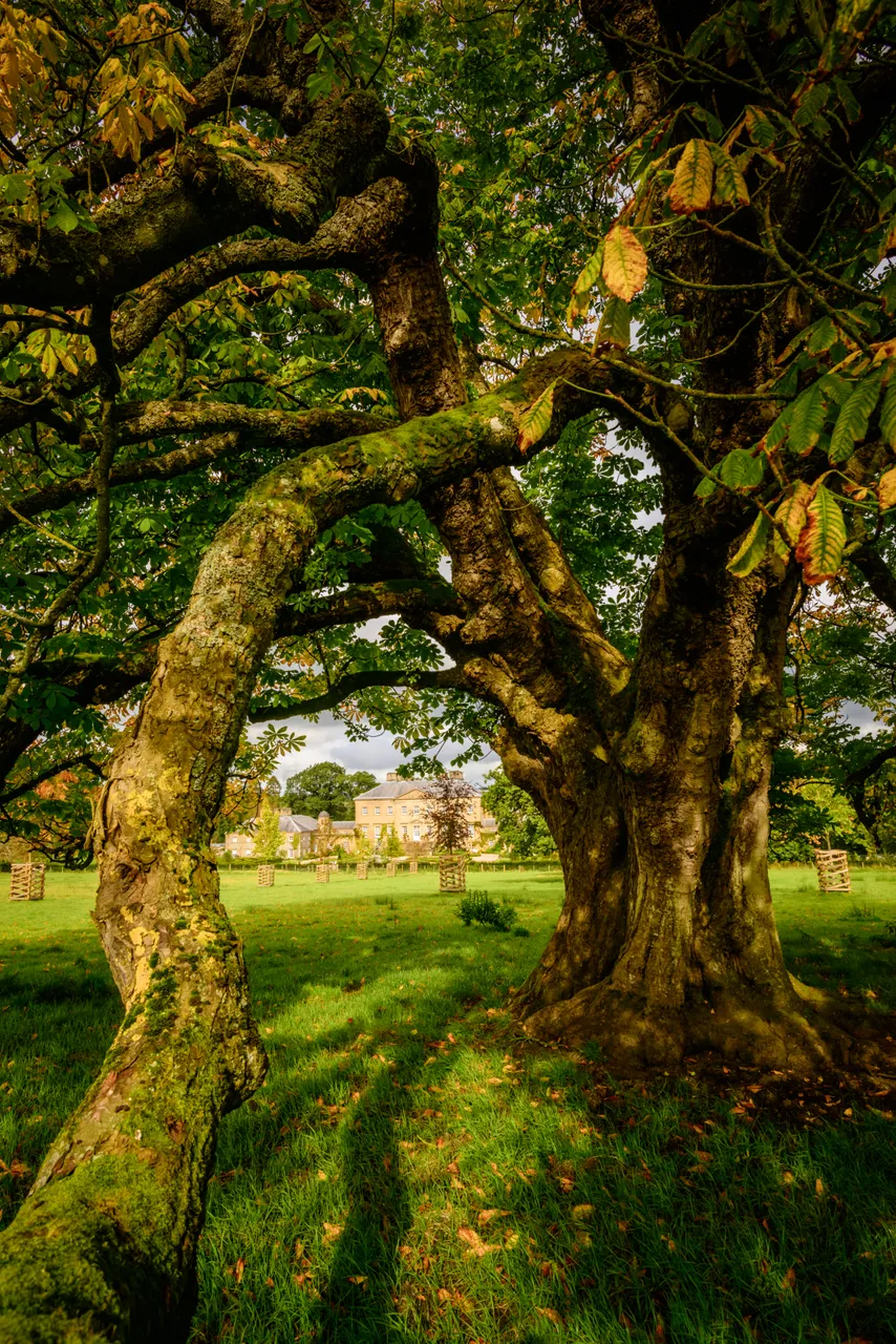 Dumfries House