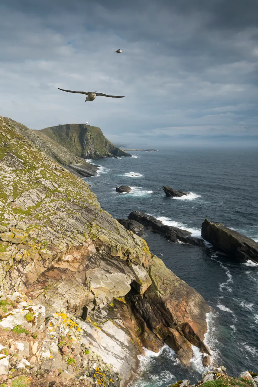 Sumburgh Head Lighthouse