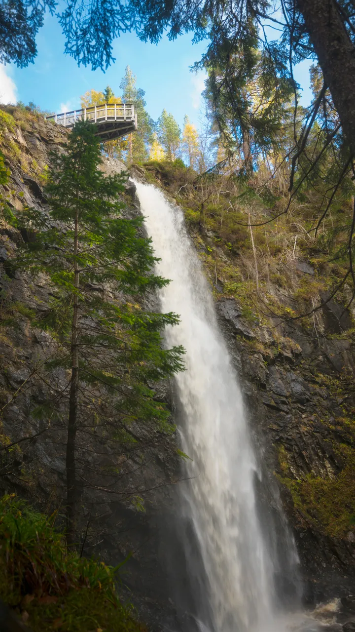 Plodda Falls