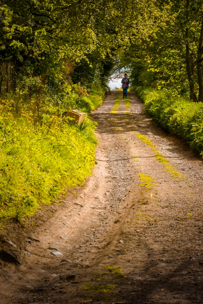 Countryside walks near Ceres