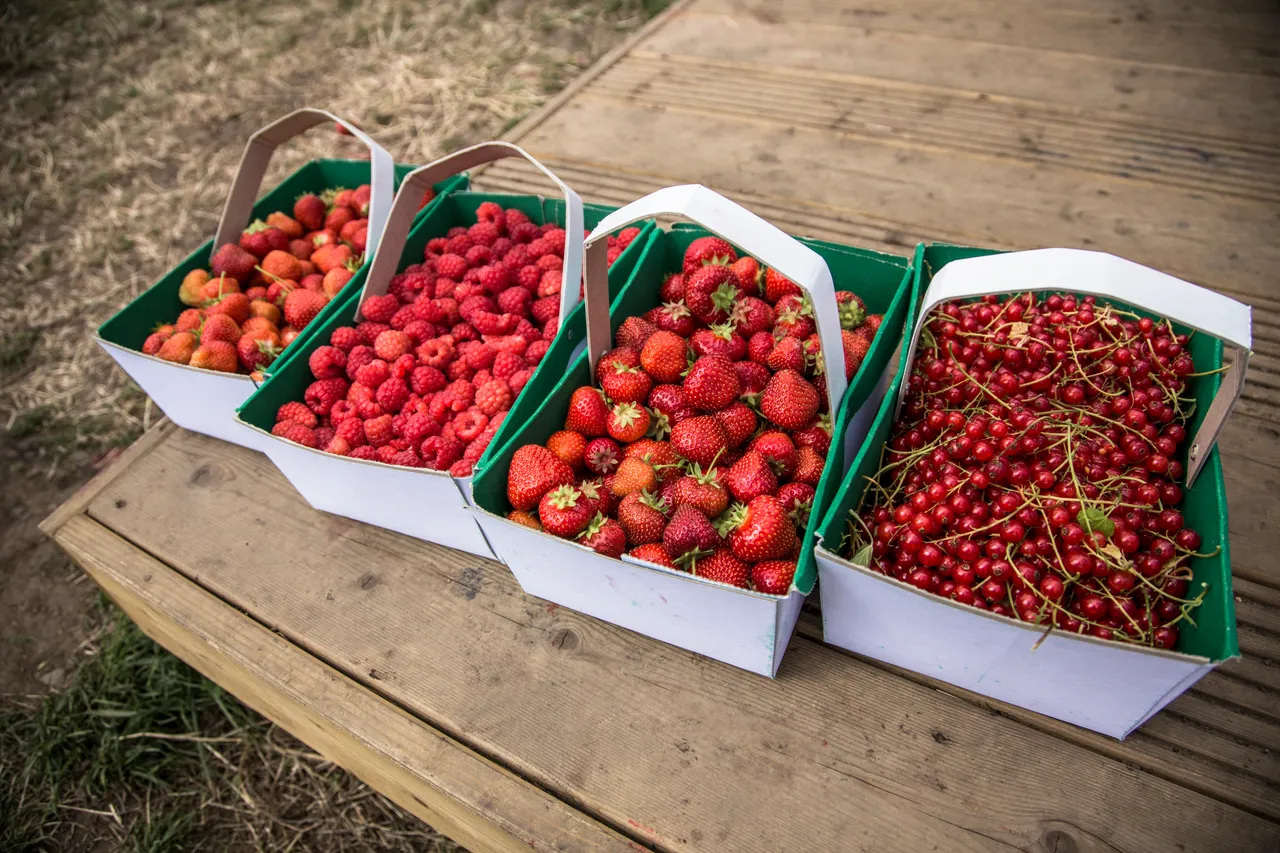 Craigies Fruit Farm