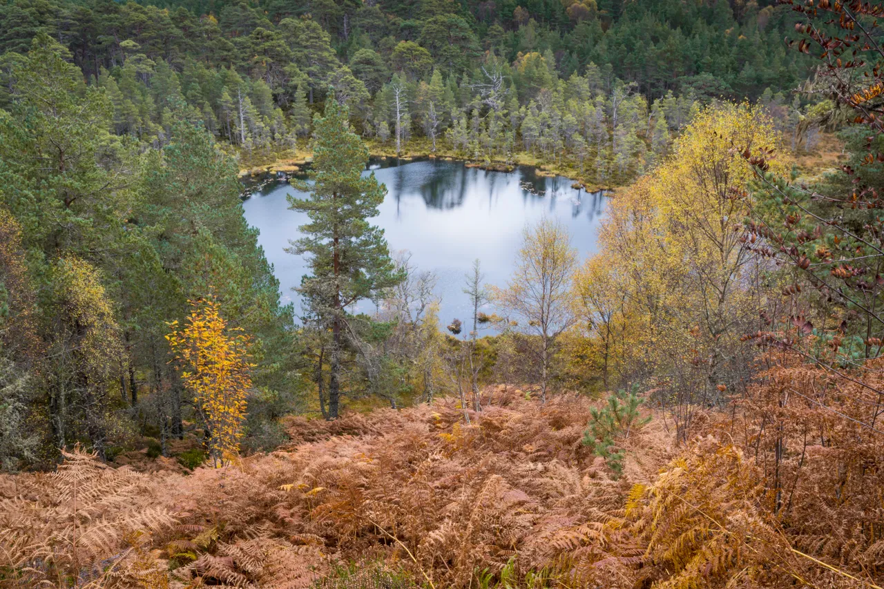 Glen Affric