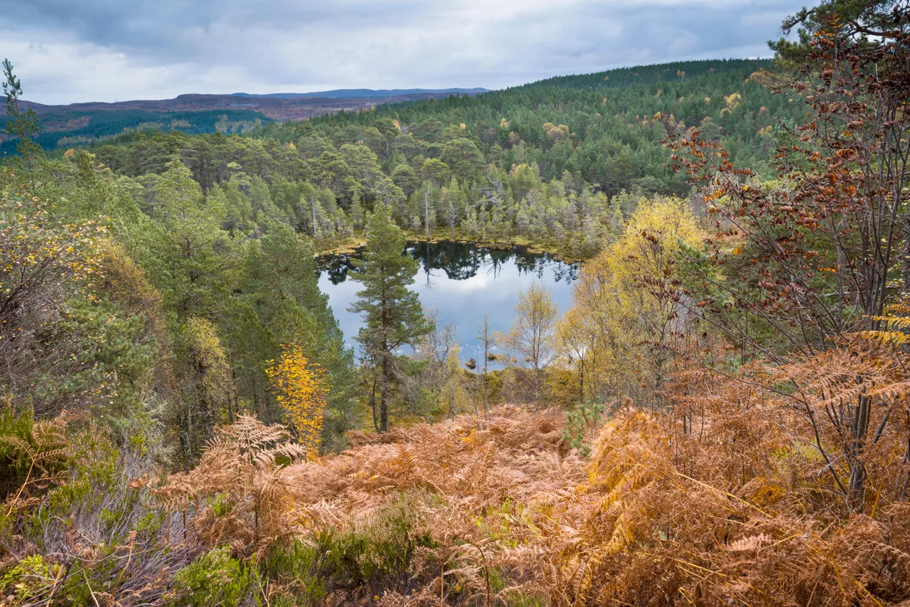 Glen Affric