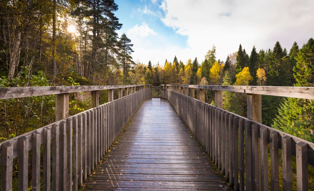 Glen Affric