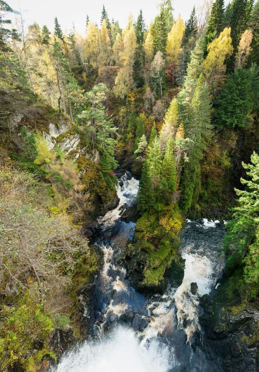 Plodda Falls