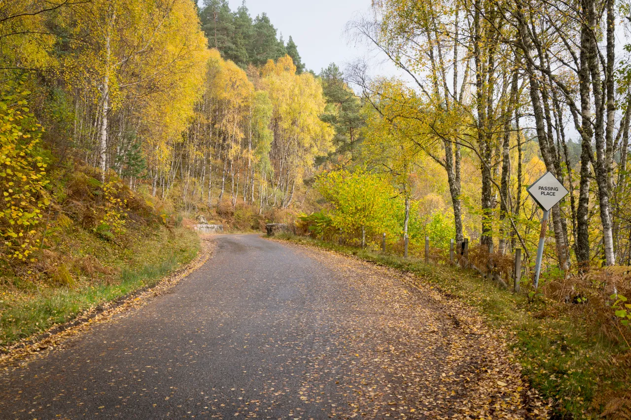 Glen Affric