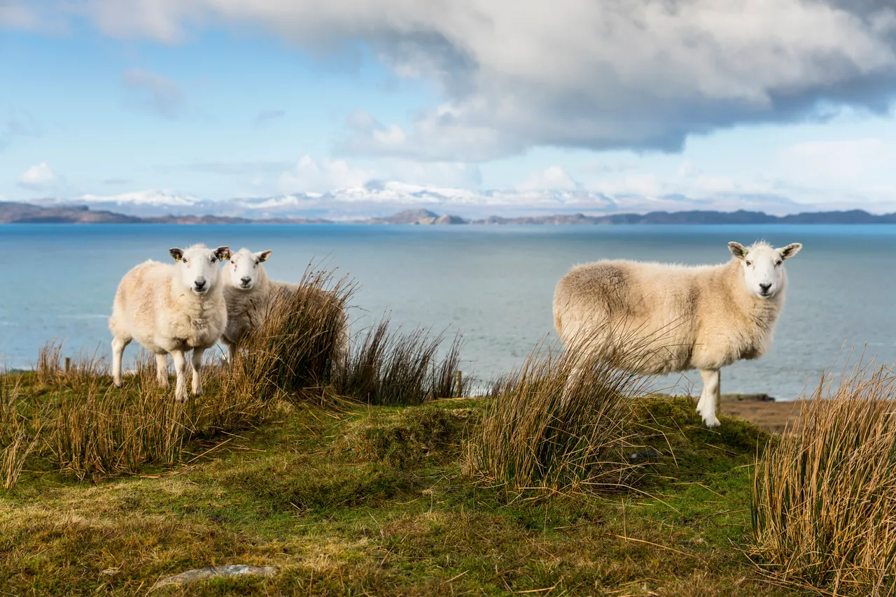 Applecross Peninsula