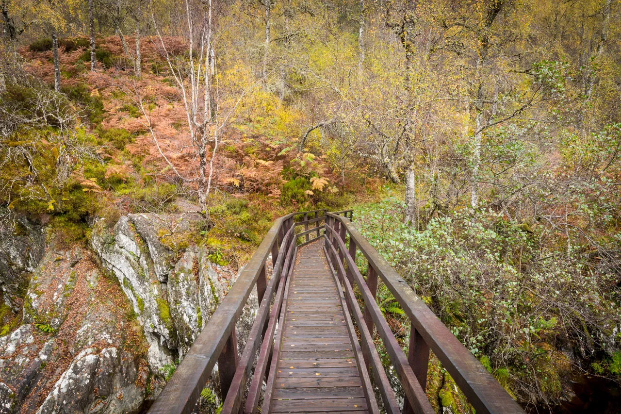 Dog Falls, Glen Affric