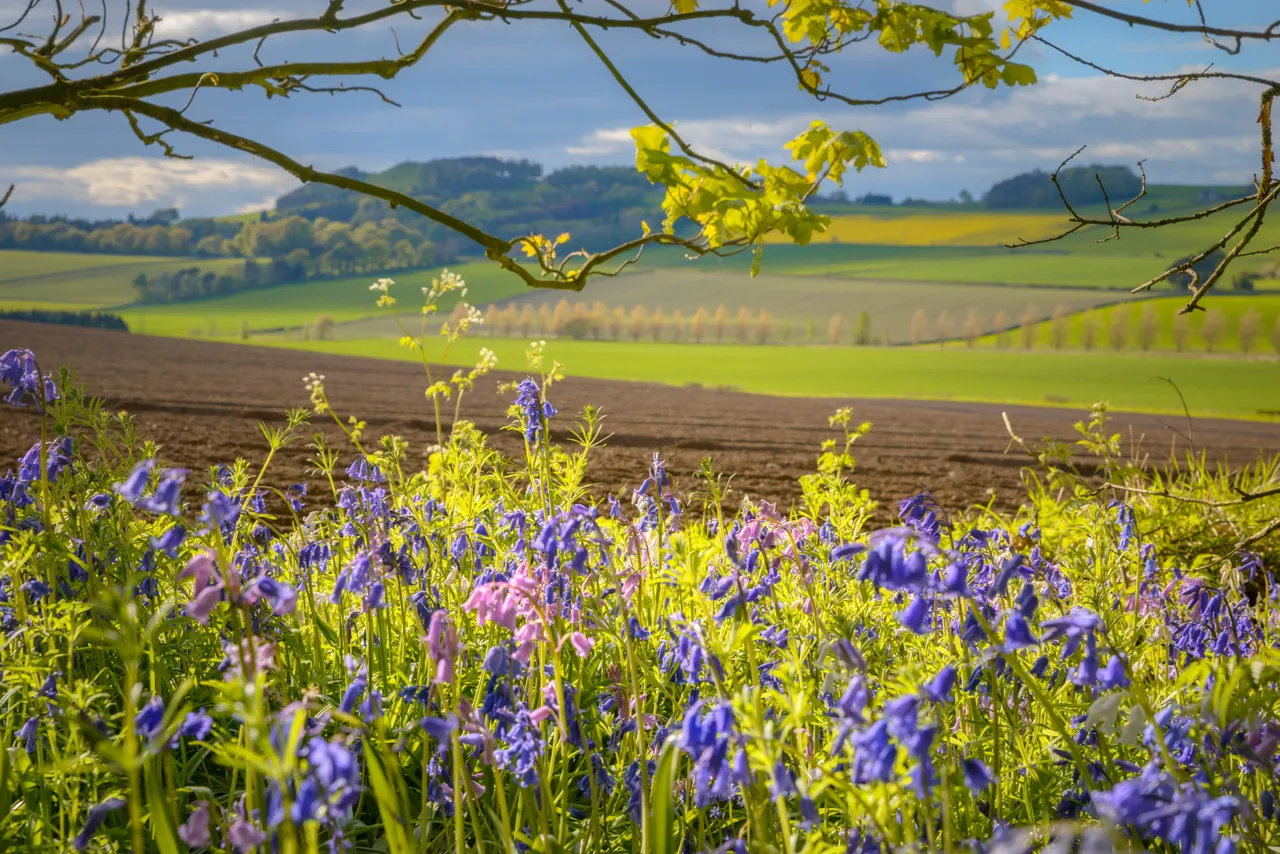 Countryside walks near Ceres