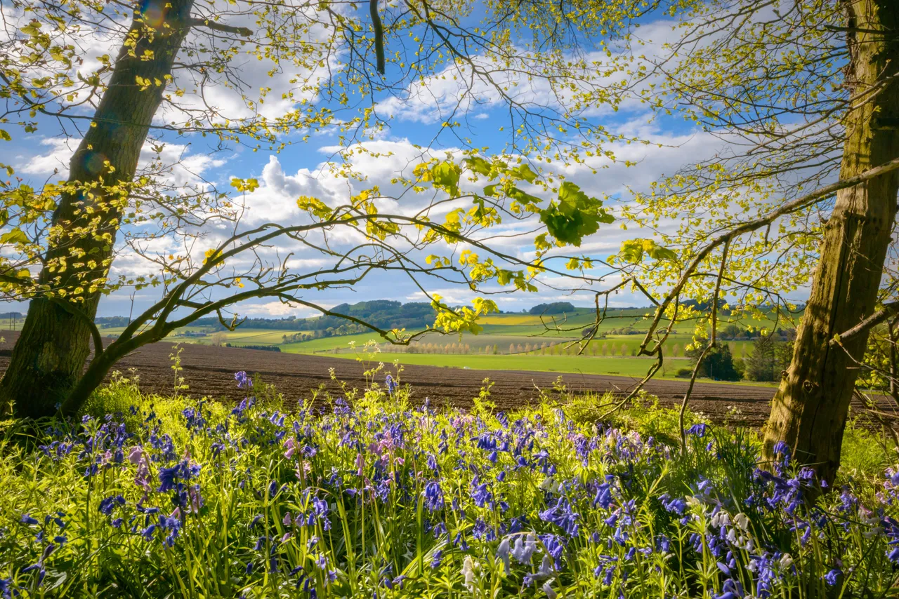 Countryside walks near Ceres